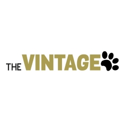thevintagepaws