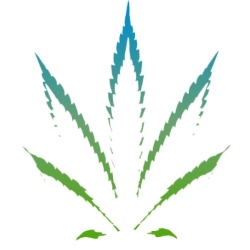CBD BioCare
