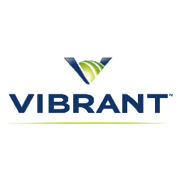 Vibrant Media