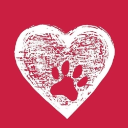 Revival Animal Health