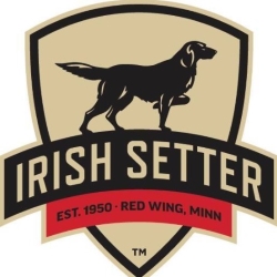 Irish Setter