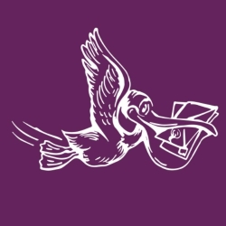 Wise Pelican