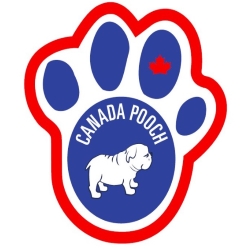 Canada Pooch
