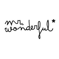MR WONDERFUL