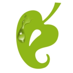 EdenFantasys.com