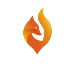Ainfox LLC
