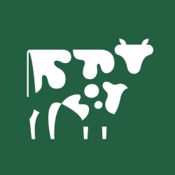Copper Cow Coffee