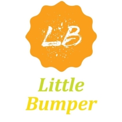 Little Bumper