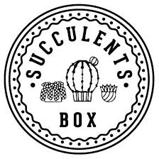 Succulents Box
