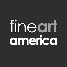 Fine Art America