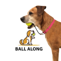 Ballalong